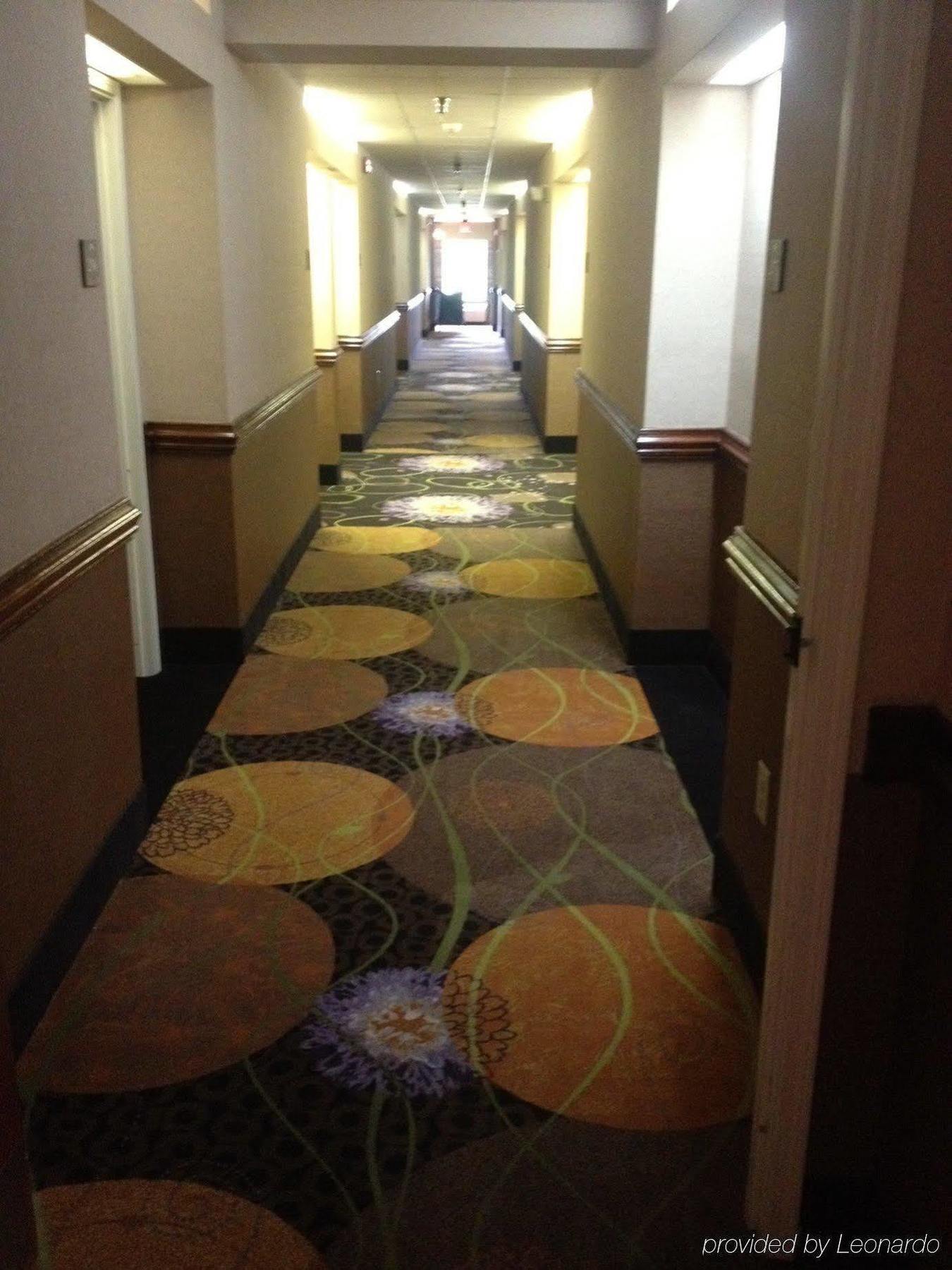 Holiday Inn Express Hotel & Suites Sanford By Ihg Esterno foto
